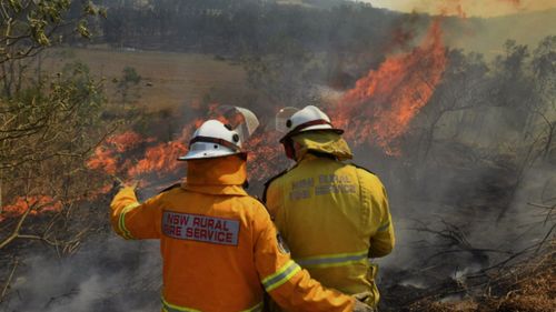 Badja Forest Road Fire