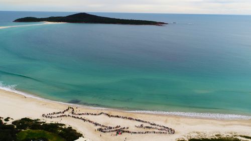 More than 1000 locals stood side by side to form a record 150m whale on Fingal Beach. (Supplied)