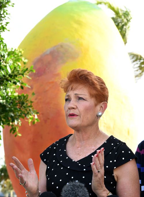 Senator Hanson during her announcement at the Big Mango (Image: AAP)