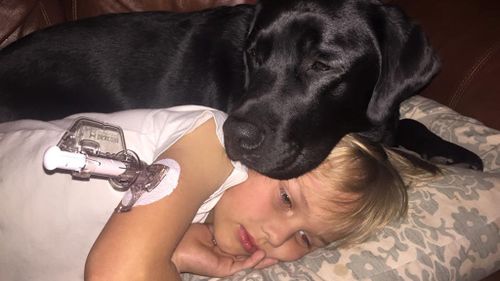 Diabetes alert dog saves life of sleeping boy