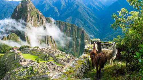 Machu Picchu avec Huana Picchu en arrière-plan.