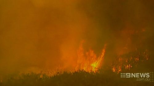 A royal commission found an ageing power line sparked the blaze. (9NEWS)