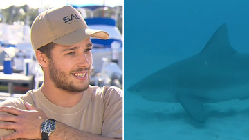 A young diver came face to face with a three-metre-bull shark that &quot;rammed&quot; him near Royal Perth Yacht Club in the Swan River in Western Australia.