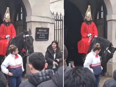 King's Guard yells at tourist during photo op