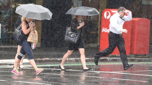 AFL Umbrella Rain Weather Adelaide Crows 