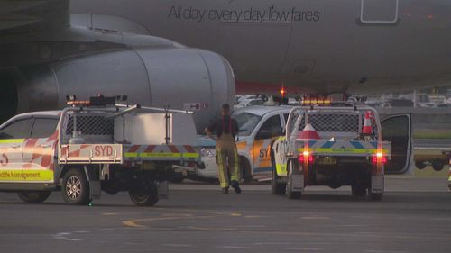A Jetstar plane and a ute have collided on the tarmac at Sydney Airport, sparking delays for travellers.