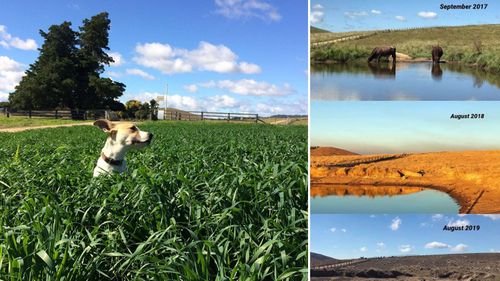 A time-lapse photo of Emily Henderson's Cooredulla property located on the eastern side of Tenterfield NSW.