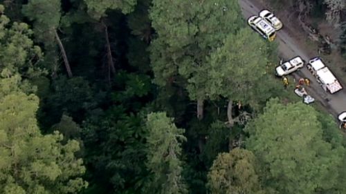 Woman, man and baby freed after car plunges 30m off cliff in regional Victoria