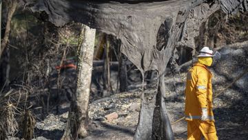 Members of the Queensland Fire Brigade put out spot fires at Binna Burra Road, Beechmont where ten homes were lost to the fires