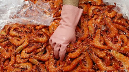 More prawns on the barbie this Christmas as NSW stock numbers swell