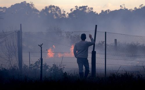 Thousands of hectares of bush have been razed in the last week of fires.