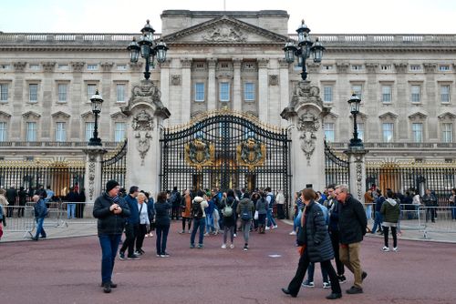 A man has been arrested at the visitors' entrance to Buckingham Palace for possession of a Taser, London's Metropolitan Police says.