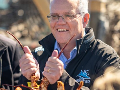 Prime Minister Scott Morrison poses with a lobster in Tasmania.