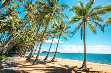 Palm Cove near Cairns.