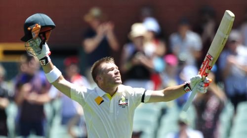 David Warner reaches his tenth Test hundred. (9NEWS)