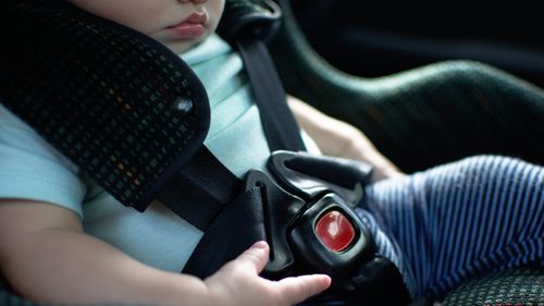 Boy, four, reports babysitter to US cops for locking seven children in hot car