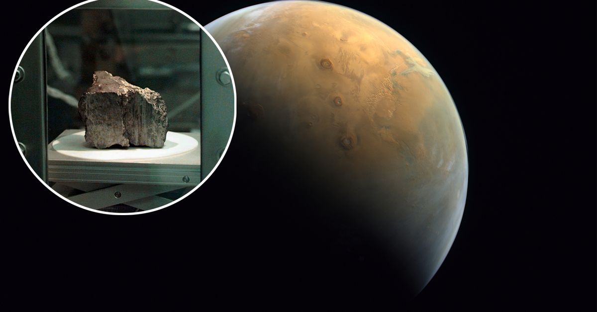 Mars meteorite found in Antarctica contains no life, study confirms - 9News