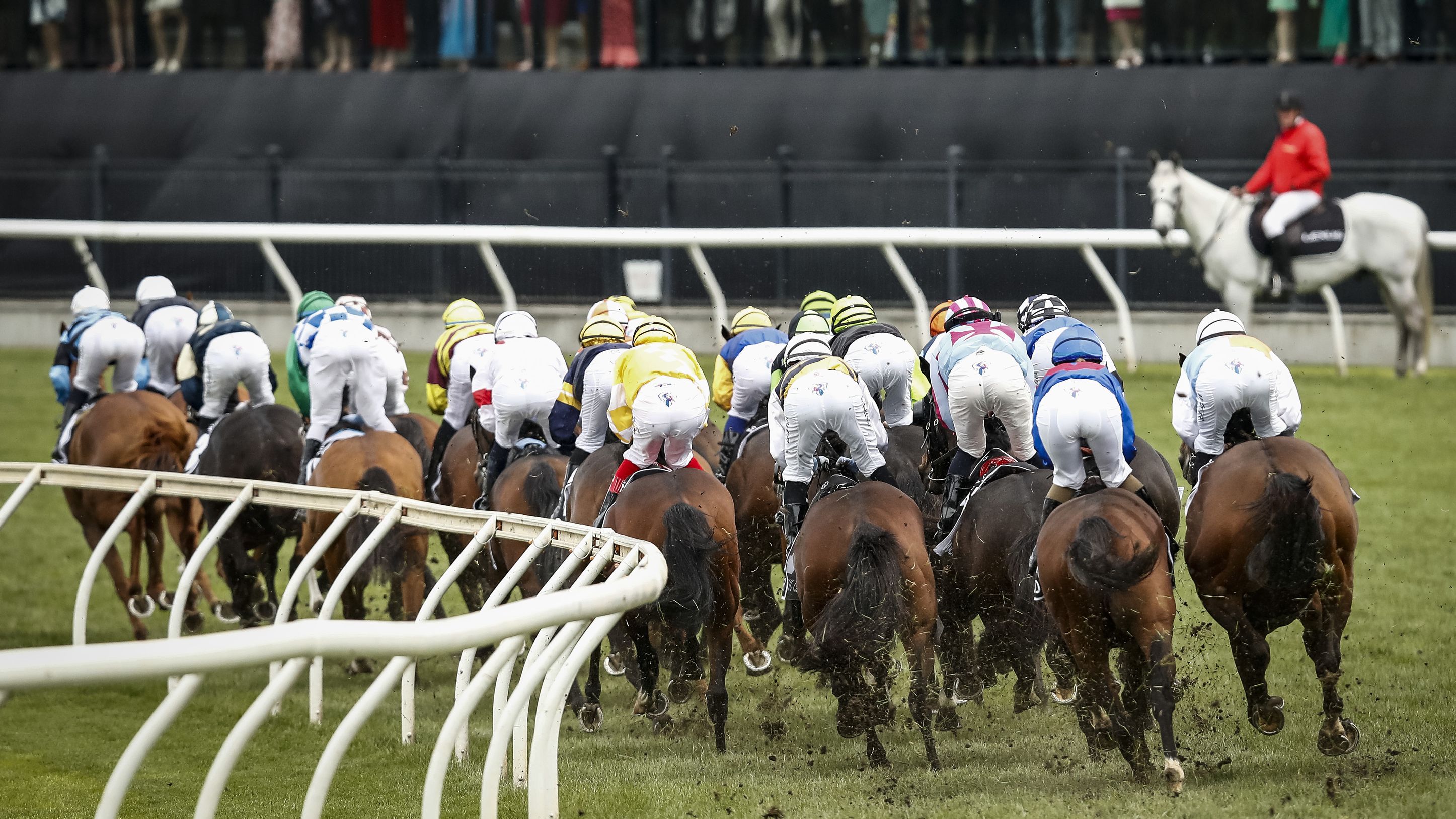 The field runs past the post for the first time in race 7 the Lexus Melbourne Cup.