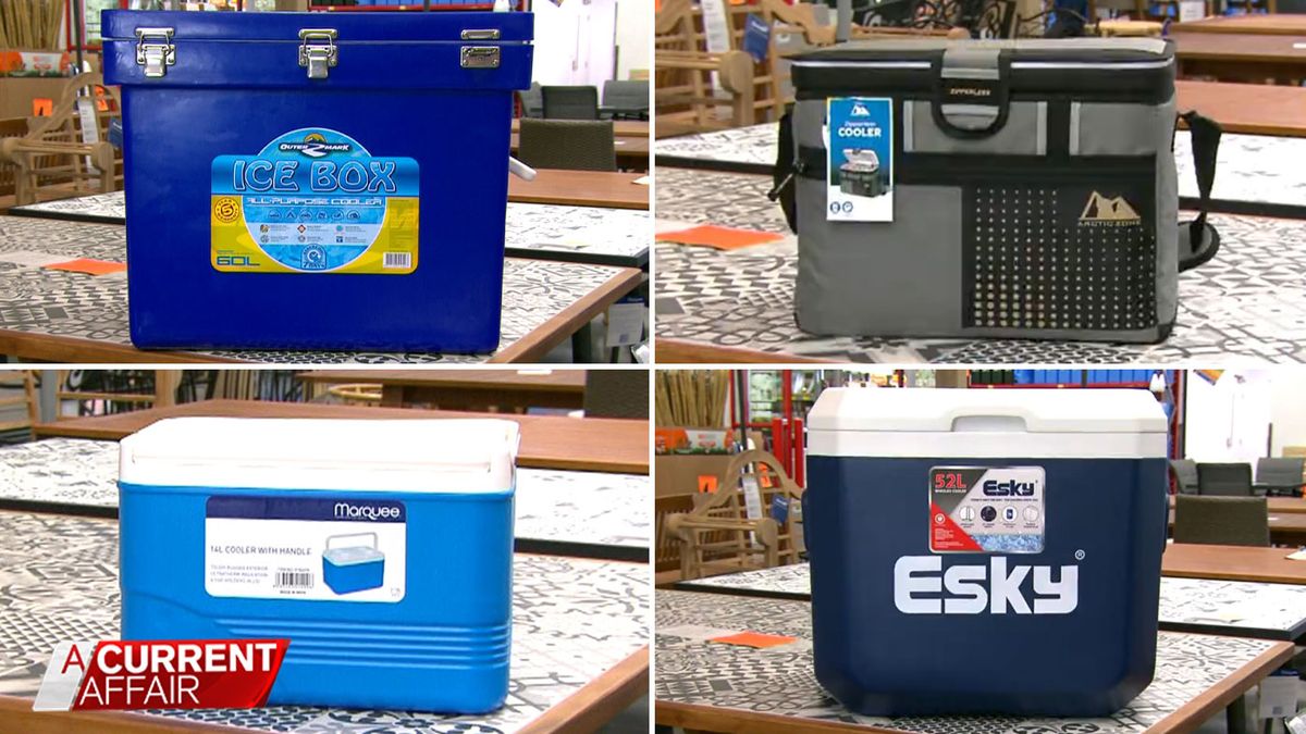 Cost Vs Chill Which Aussie Eskies Come Out On Top For Summer Food Cooling