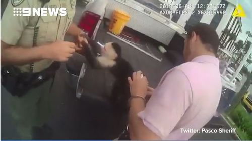 Police said the monkey was friendly while they arrested Mr Hession. Picture: Pasco County Sheriff