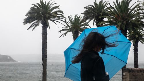 Una giornata piovosa a Balmoral, Sydney ha visto un bel cambiamento rispetto al clima caldo che era solito sperimentare. 