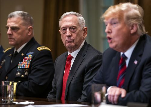 US Defence Secretary Jim Mattis, pictured with President Donald Trump, is leaving the post in February.