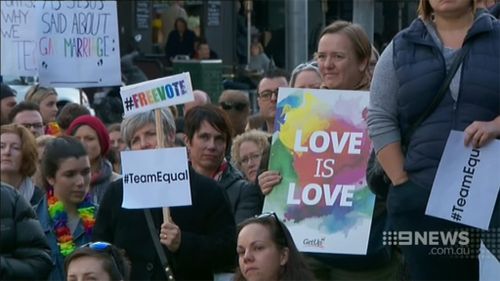 Hundreds turned up in support of same-sex marriage. (9NEWS)