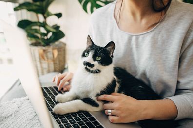 Young woman using laptop and cute cat sitting on keyboard. 