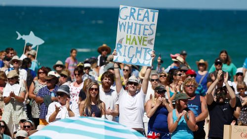 WA dumps controversial shark drum-line program