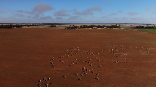 The farming sector would be "bordering on disaster" by next year if the drought didn't break.