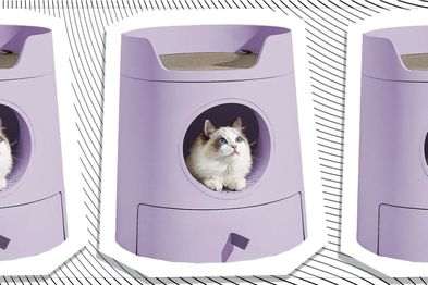 9PR: Michu Mayitwill XL Castle 2-in-1 Front-Entry Cat Litter Box with Scratch Pad, Lilac Purple