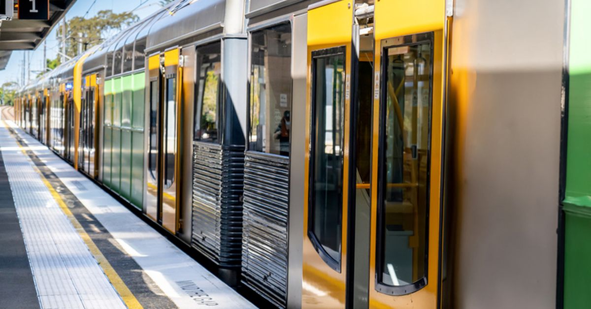 Sydney News: Teenager Charged After Alleged Antisemitic Attack on T...