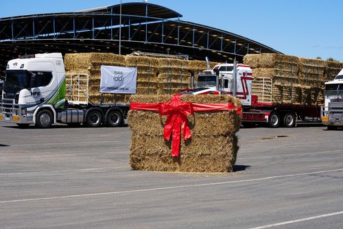 Hay drop Rural Aid