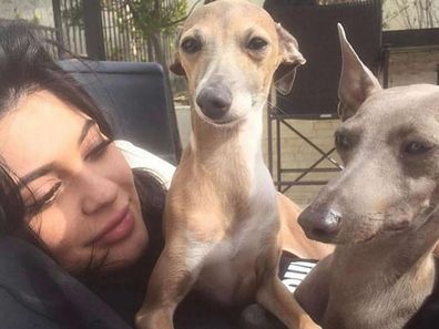 Norman Kylie jenner dog 