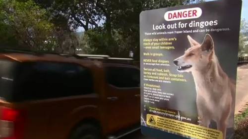 A Dingo danger sign on Fraser Island.