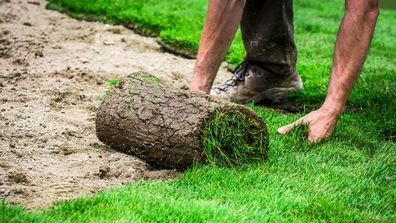 Landscape guru Dave Franklin's tips for laying new turf