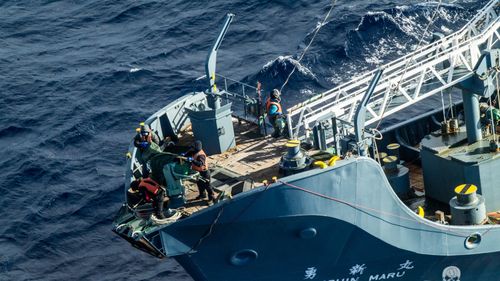 Australia blasts new Japanese whaling laws