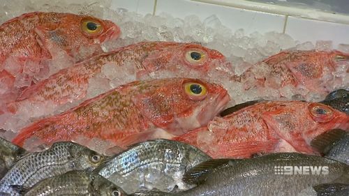 Fish with the highest levels of omega-3 include salmon, blue-eye trevalla, blue mackerel and canned sardines. Picture: 9NEWS.