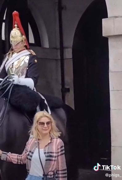 tourist yelled at by member of Queen's guard for touching horse reigns