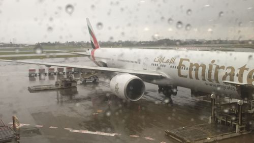 Flights have been grounded at Sydney Airport, causing commuter chaos.