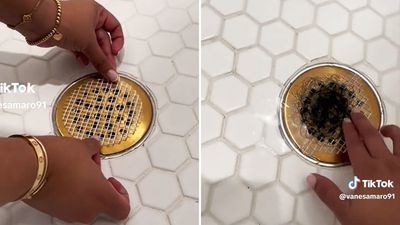 Drain hair catchers
