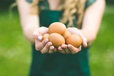 Woman holding bunch of eggs