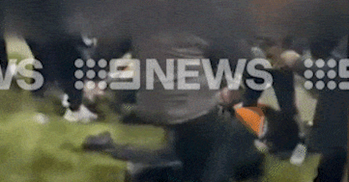 www.9news.com.au