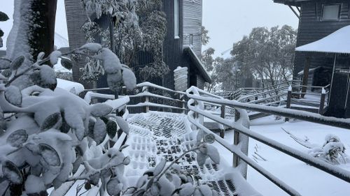 Snow Hotham