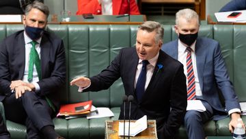 Minister for climate change and energy change and energy Chris Bowen said the legislation puts Australia on a path to net zero.