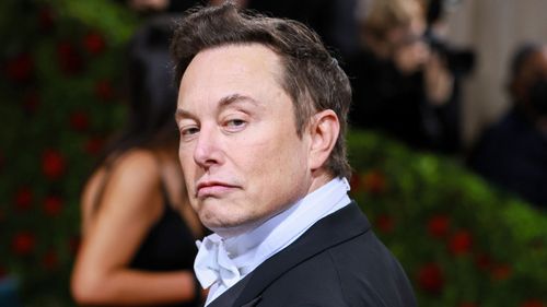 Tesla billionaire CEO Elon Musk