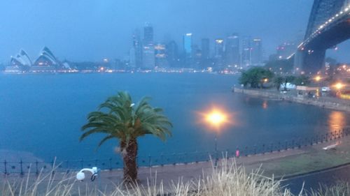 Sydney woke up to rain this morning. (9NEWS)