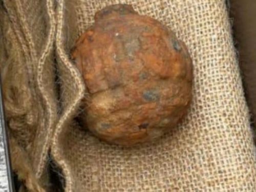 The World War I hand grenade found among potatoes. (Hong Kong Police).