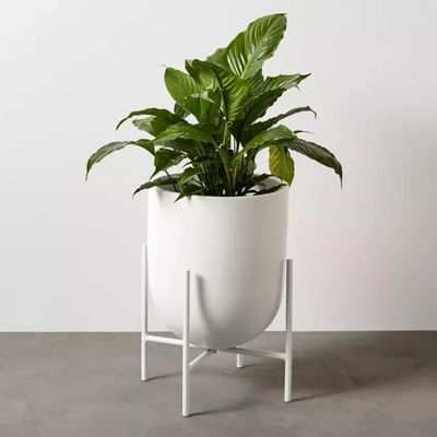 Percy large planter stand: $50