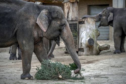 Berlin Zoo